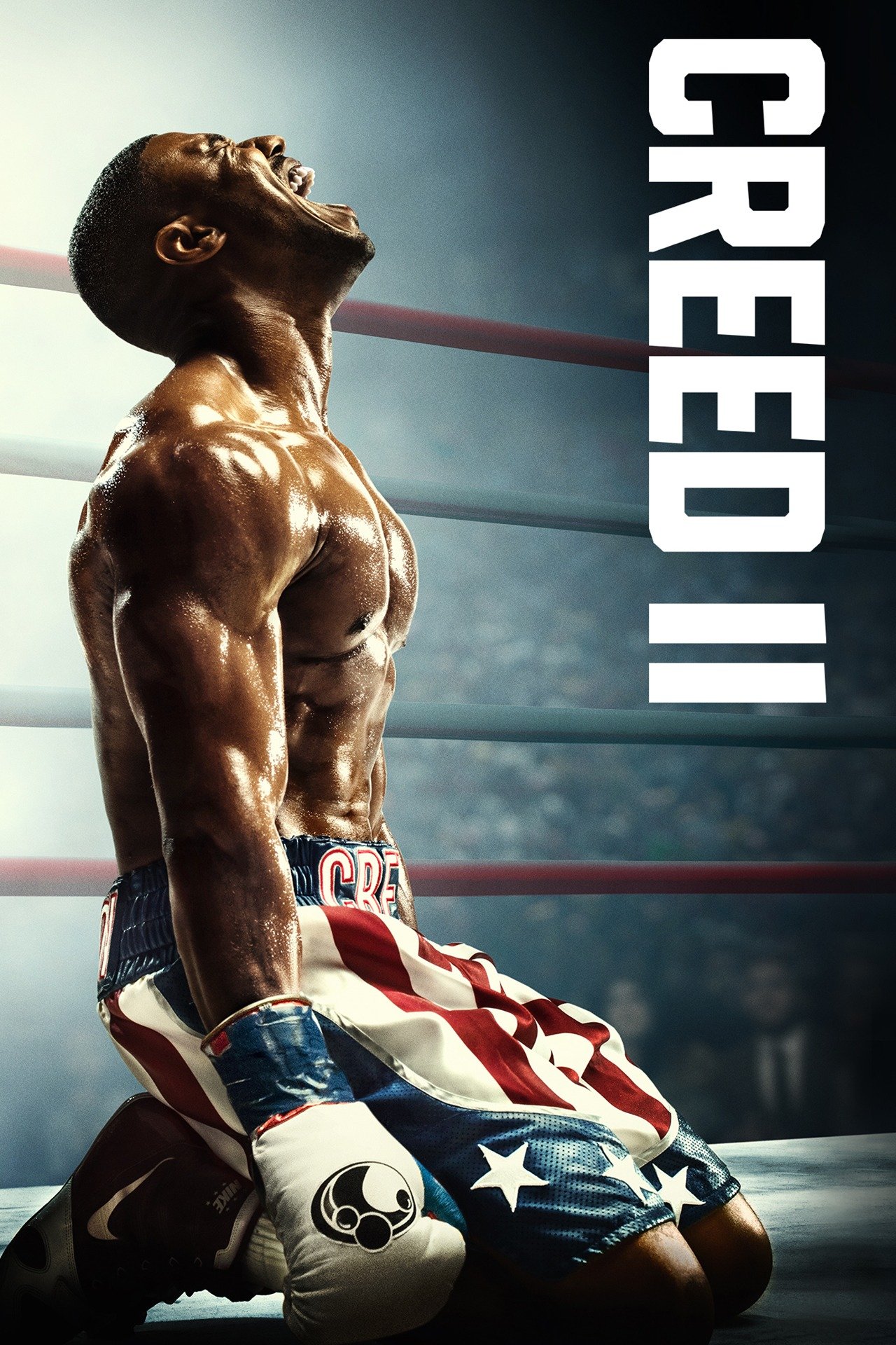 Creed II (2018) [72022] (A1772147198) [[Movies 2.0]] --Plex--
